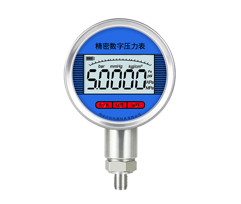 工業(yè)級(jí)數(shù)字壓力表
