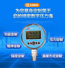 “泉州數(shù)字精密壓力表?yè)p壞“/