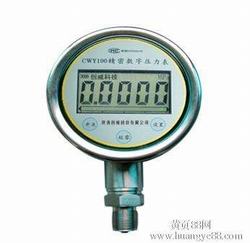 “常州費(fèi)斯托數(shù)顯壓力表er17“/