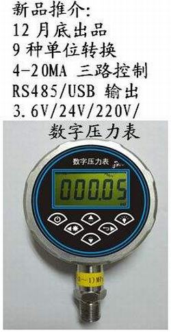“北京數(shù)顯壓力表0-160“/